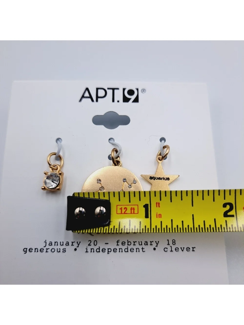 Aquarius Zodiac Pendant Charm Set